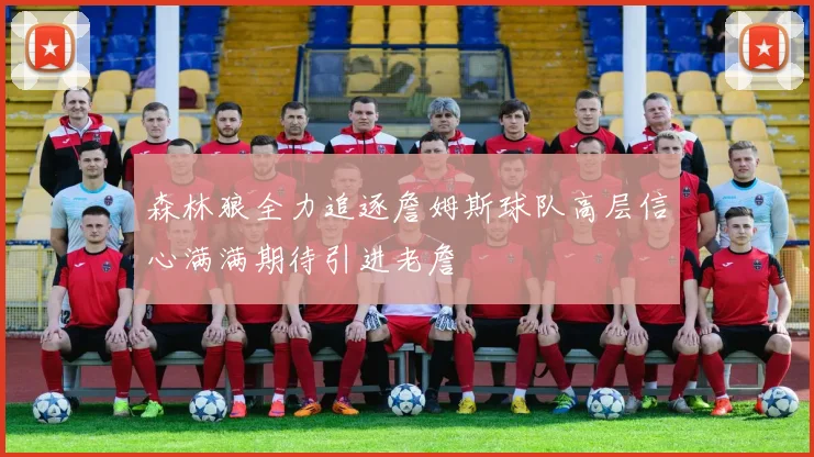 森林狼全力追逐詹姆斯球队高层信心满满期待引进老詹