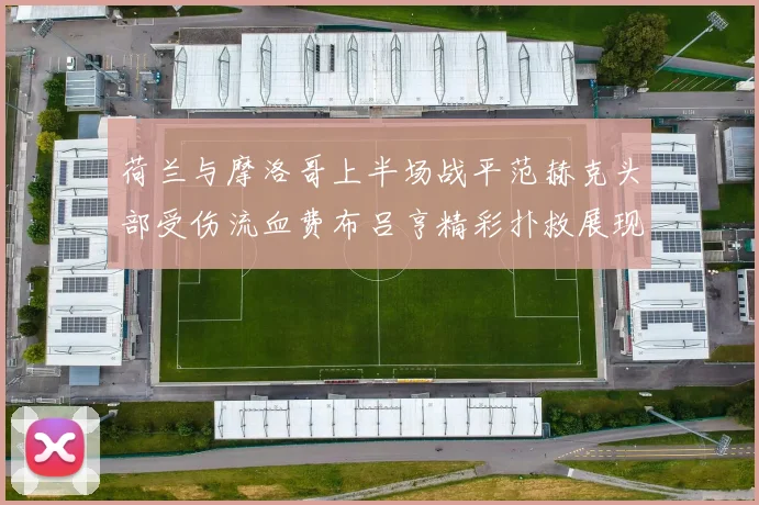 荷兰与摩洛哥上半场战平范赫克头部受伤流血费布吕亨精彩扑救展现实力