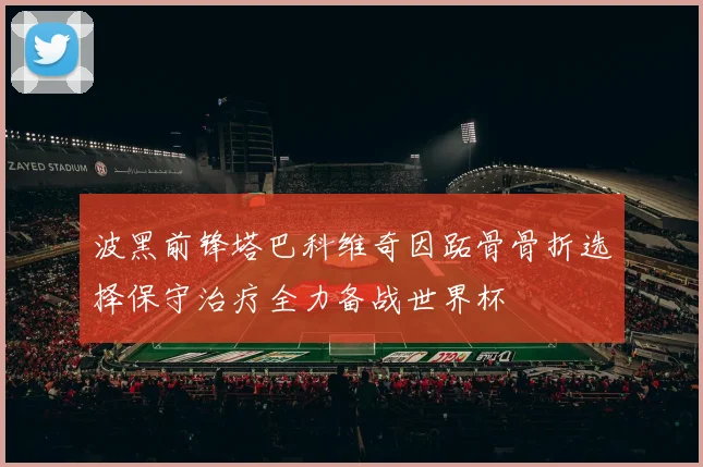 波黑前锋塔巴科维奇因跖骨骨折选择保守治疗全力备战世界杯