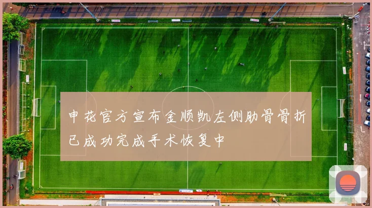 申花官方宣布金顺凯左侧肋骨骨折已成功完成手术恢复中