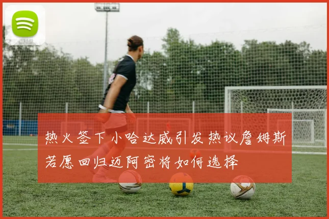 热火签下小哈达威引发热议詹姆斯若愿回归迈阿密将如何选择
